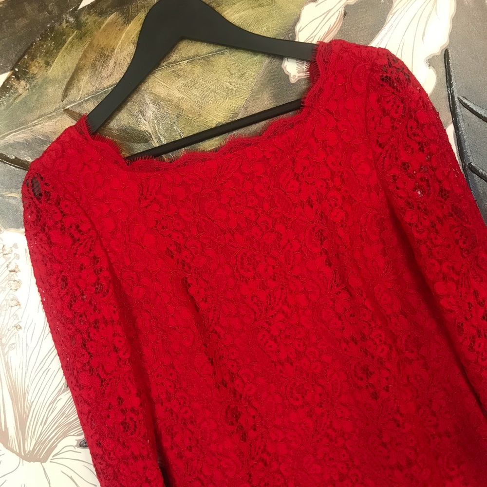 🍓 Vintage Cache Lace Dress